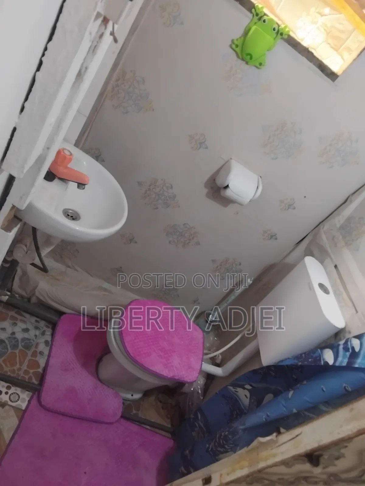 Furnished 1bdrm House in Barrier for rent