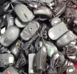Computer Mouse