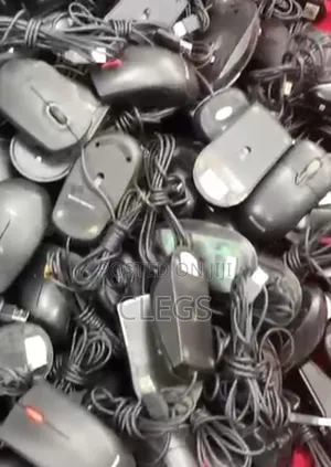 Computer Mouse