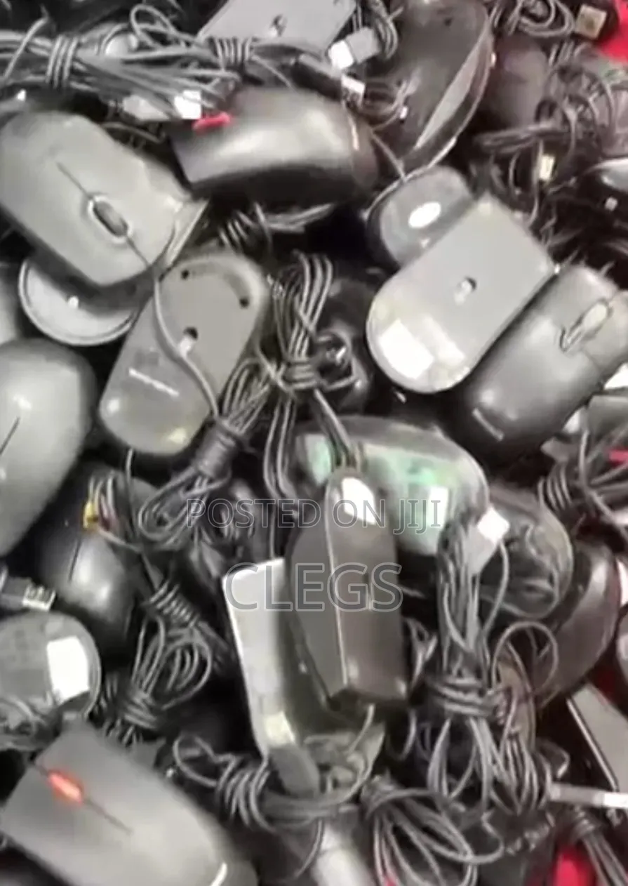 Computer Mouse