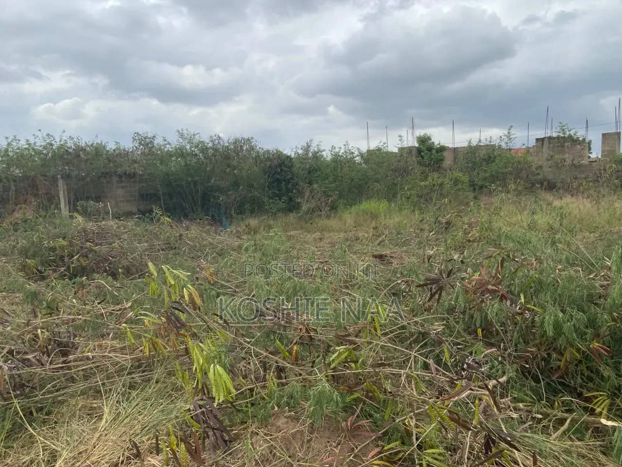 Land for Sale