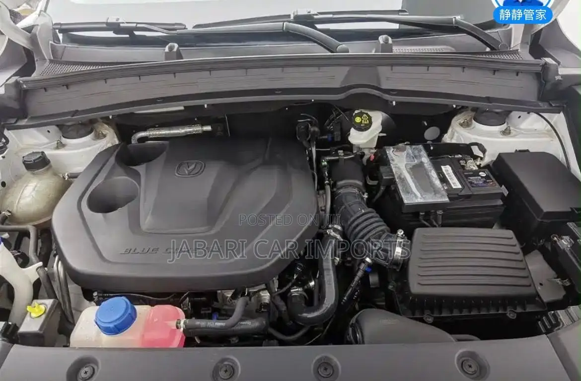 Changan CS55 Plus 1.5 Petrol FWD 2023 White
