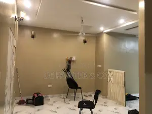 Affordable Painting_ Very Professional Reliable