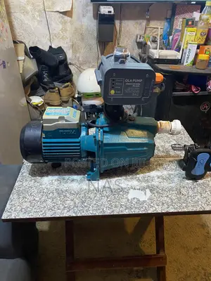 A Fairly Home Used 1.0 HP Total Cast Pump Complete