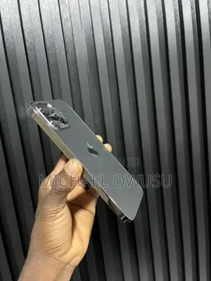 Apple iPhone 13 Pro Max 128 GB Gray