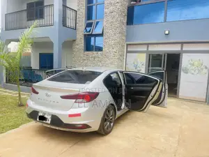 Hyundai Elantra Limited 2019 Silver