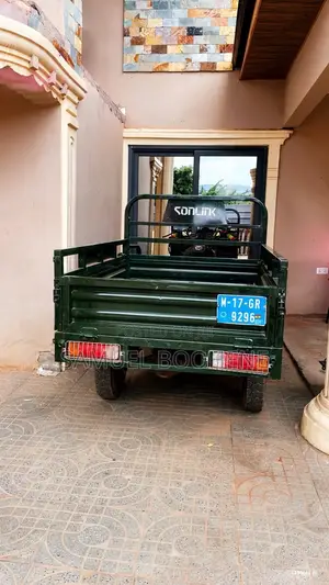 Sonlink SL200GY-A 2016 Green