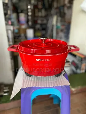 6L Cntronic Electric Pot