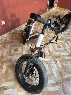 Electric Bike