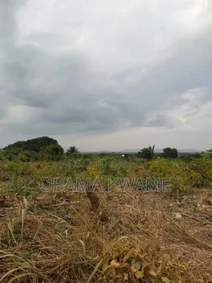 Registered 4 Acres of Land for Sale at Ayikuma