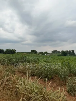 Registered 4 Acres of Land for Sale at Ayikuma