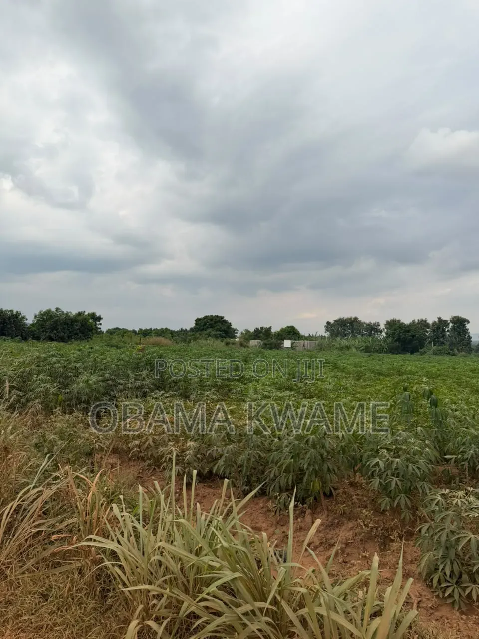 Registered 4 Acres of Land for Sale at Ayikuma