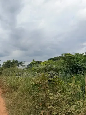 Registered 4 Acres of Land for Sale at Ayikuma