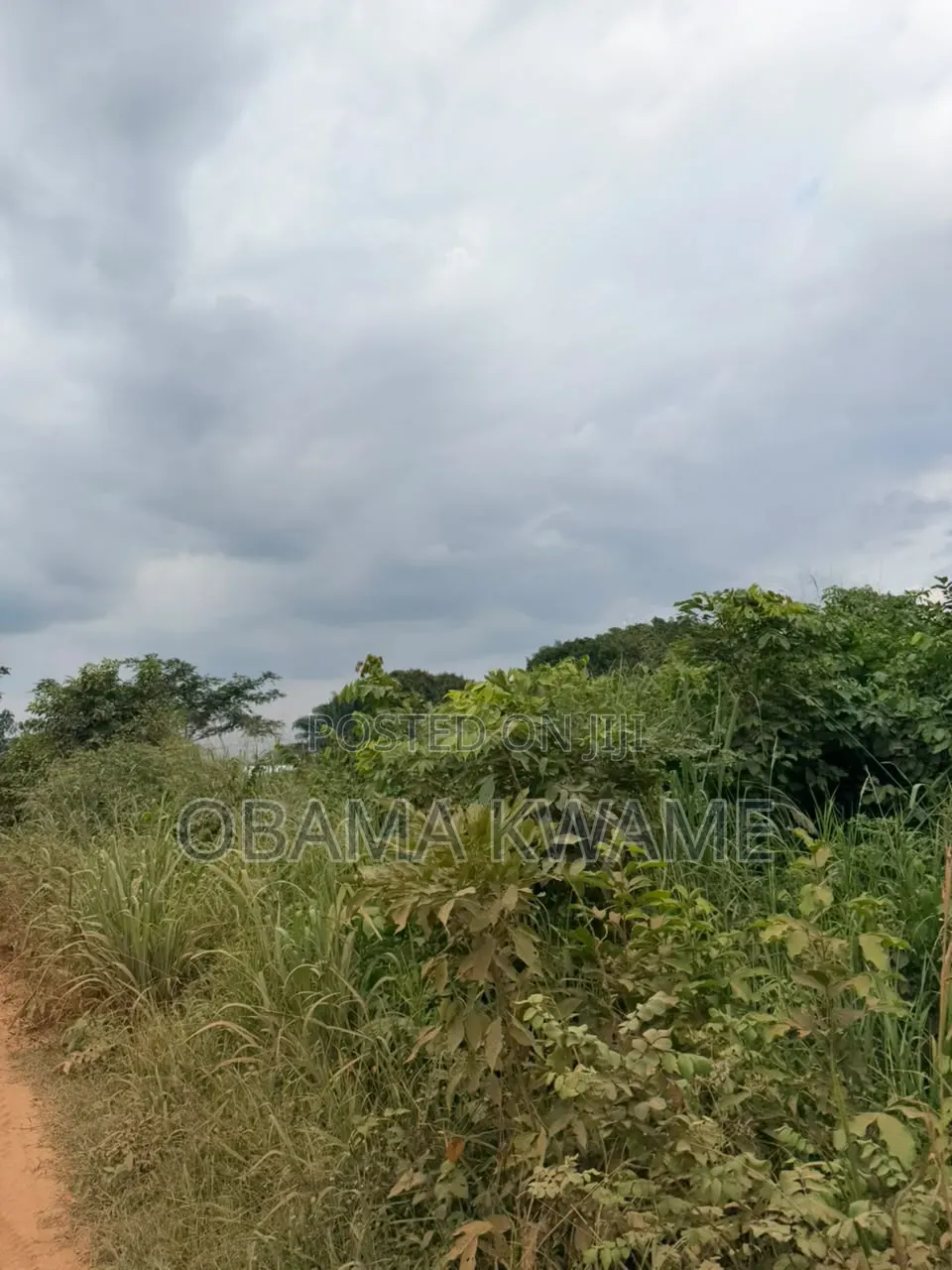 Registered 4 Acres of Land for Sale at Ayikuma