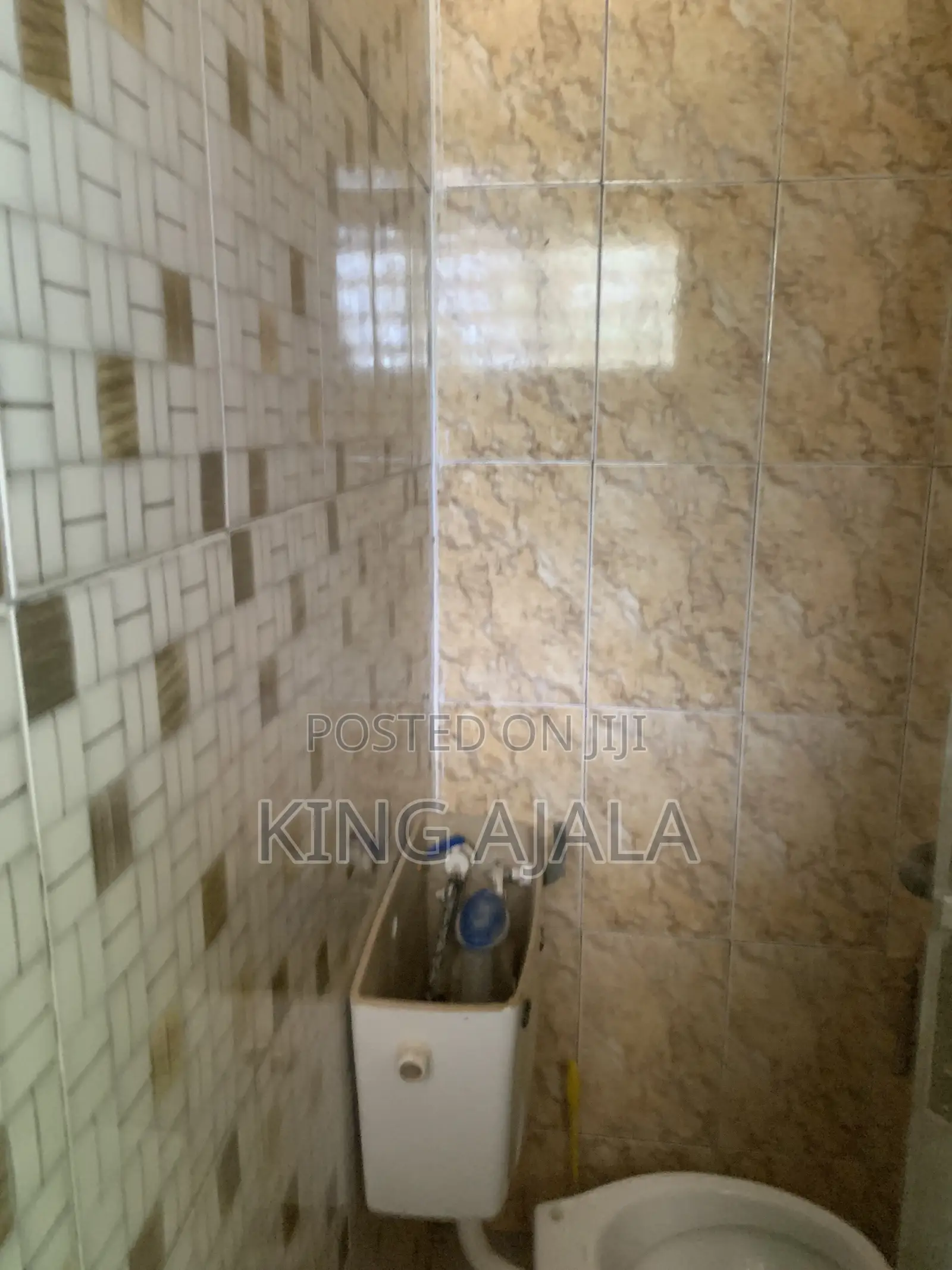 Furnished 1bdrm Apartment in Amanfro Heavyweight for rent