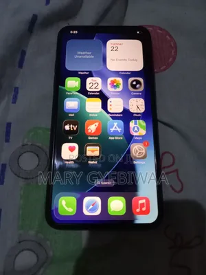 Apple iPhone 11 Pro Max 256 GB Gray