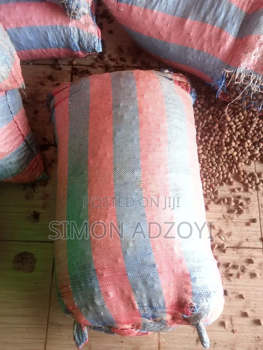 Shea Nuts for Sale