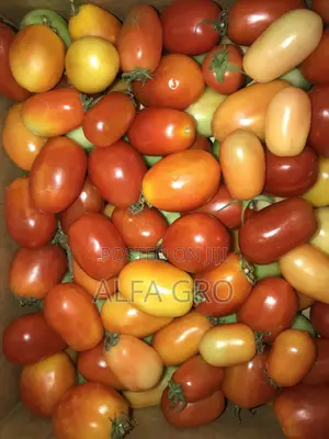 Tomatoes Cherry Sizes(Free Delivery in Central Accra)