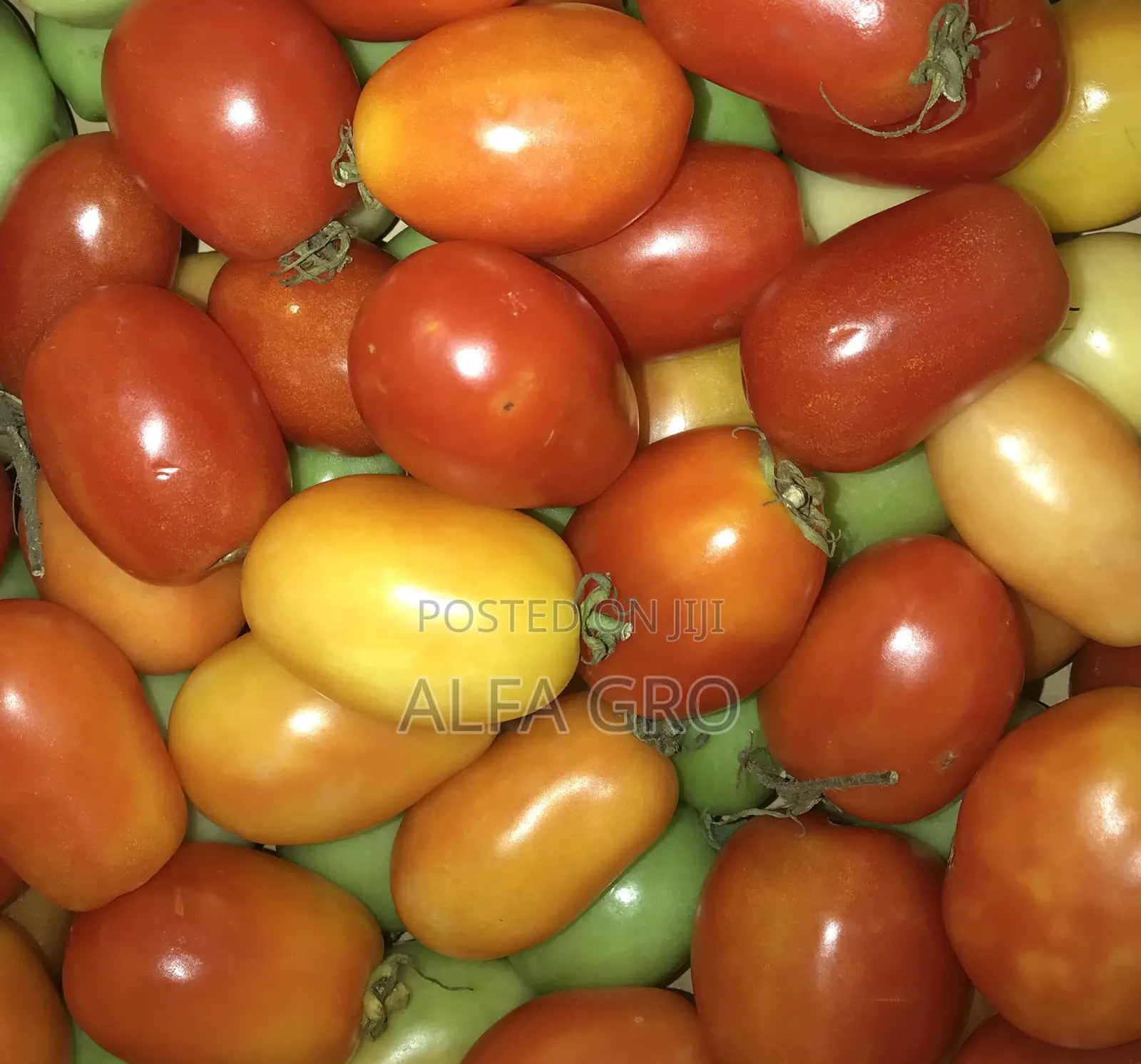 Tomatoes Cherry Sizes(Free Delivery in Central Accra)