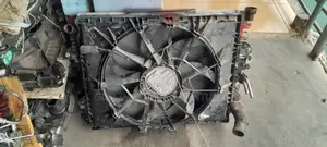 Dodge RAM 2020 Watertank and Condenser