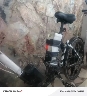 Electric Bike