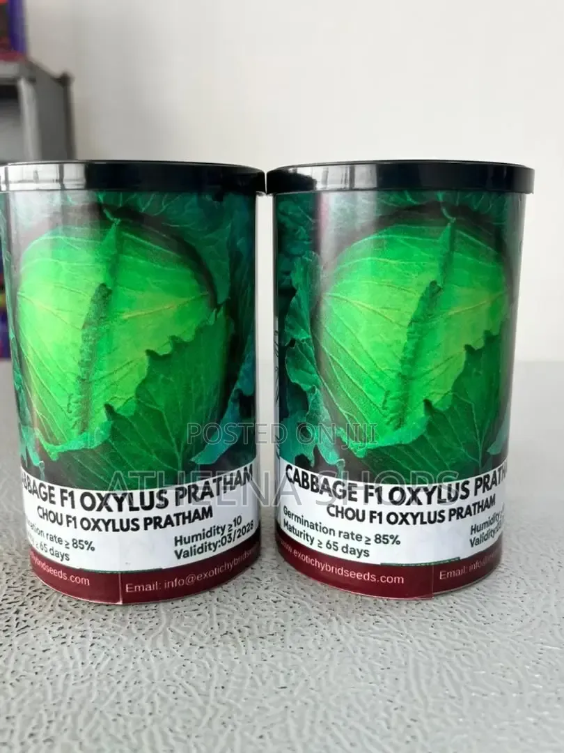 Oxylus Cabbage Seeds F1 (50grams)