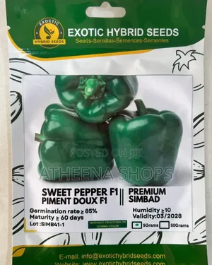 Simbad Bell Pepper Seeds for Farmers. (F1 (50 Grams)