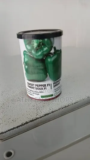 Simbad Bell Pepper Seeds for Farmers. (F1 (50 Grams)