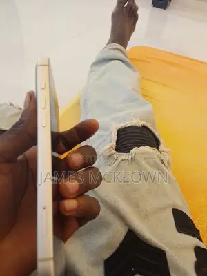 Apple iPhone 17 Pro Max 256 GB Gray