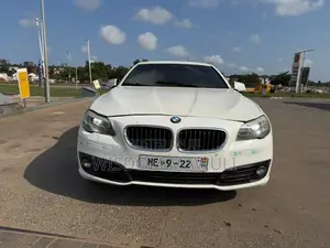 BMW 5 Series 2013 White