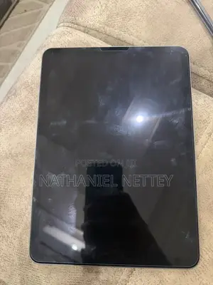 Apple iPad Air 11 (2024) 256 GB Silver