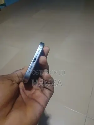 Apple iPhone 15 Pro Max 256 GB Silver