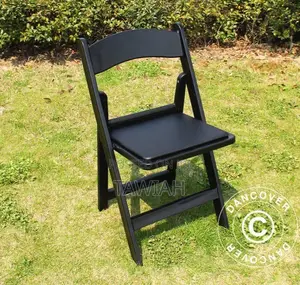 Fan Back New Design Foldable Chair