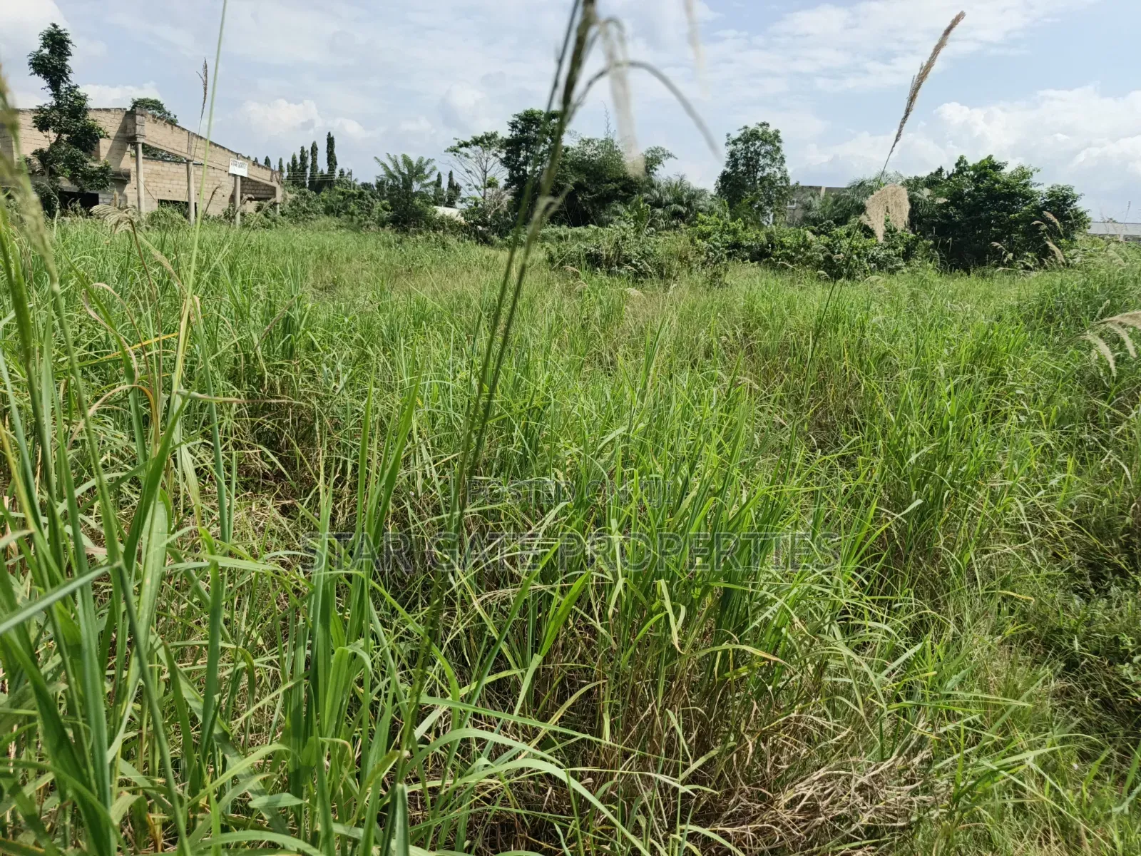Filling Station Plot / Land Juaben Effiduasi Main Road Side