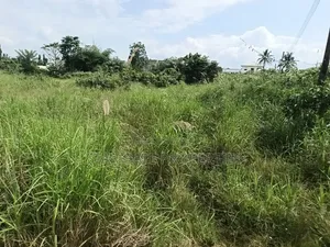 Filling Station Plot / Land Juaben Effiduasi Main Road Side