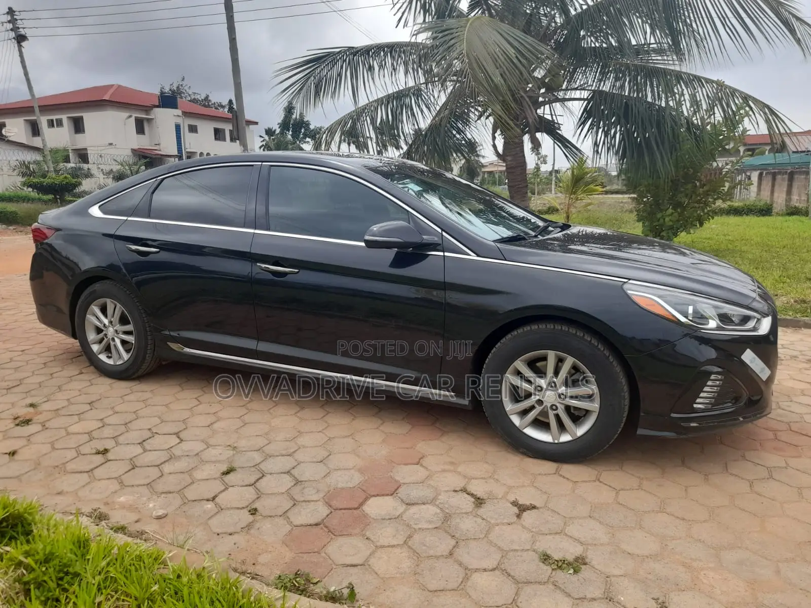 Car Rentals - Black Sonata (Self Drive - Chauffeur)