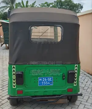 Apsonic AP250 PRO 2026 Green