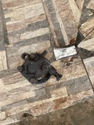 Hyundai/Kia Steer Motor