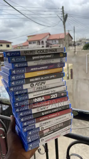 PS4 Both Offline and Online Game