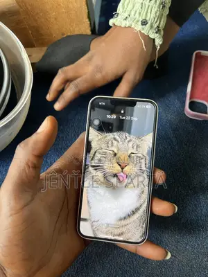 Apple iPhone 13 128 GB White