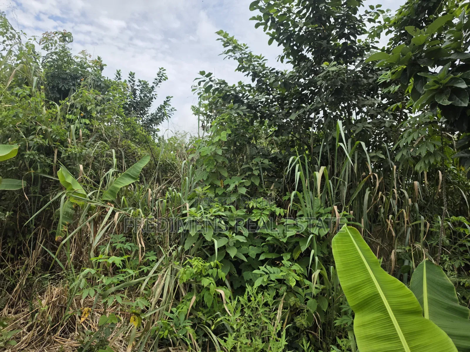 Land at Asuofia-Achiase for Sale