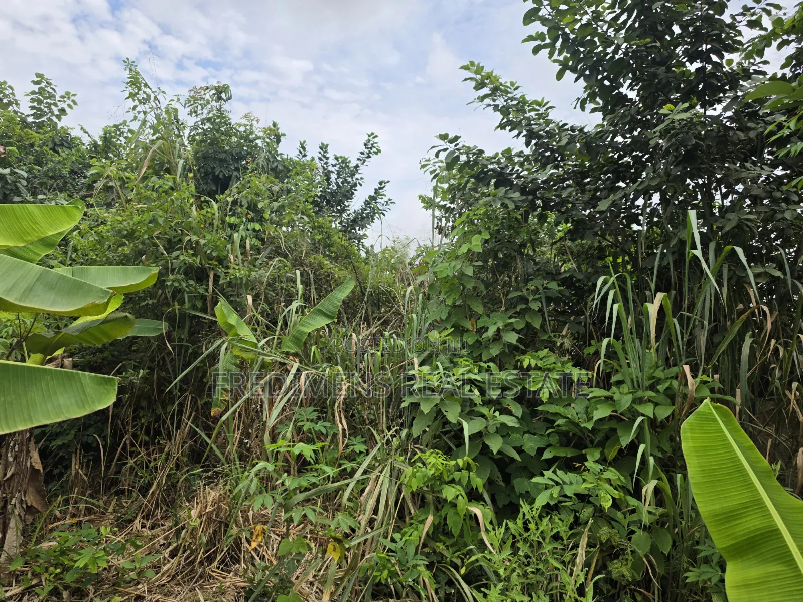 Land at Asuofia-Achiase for Sale
