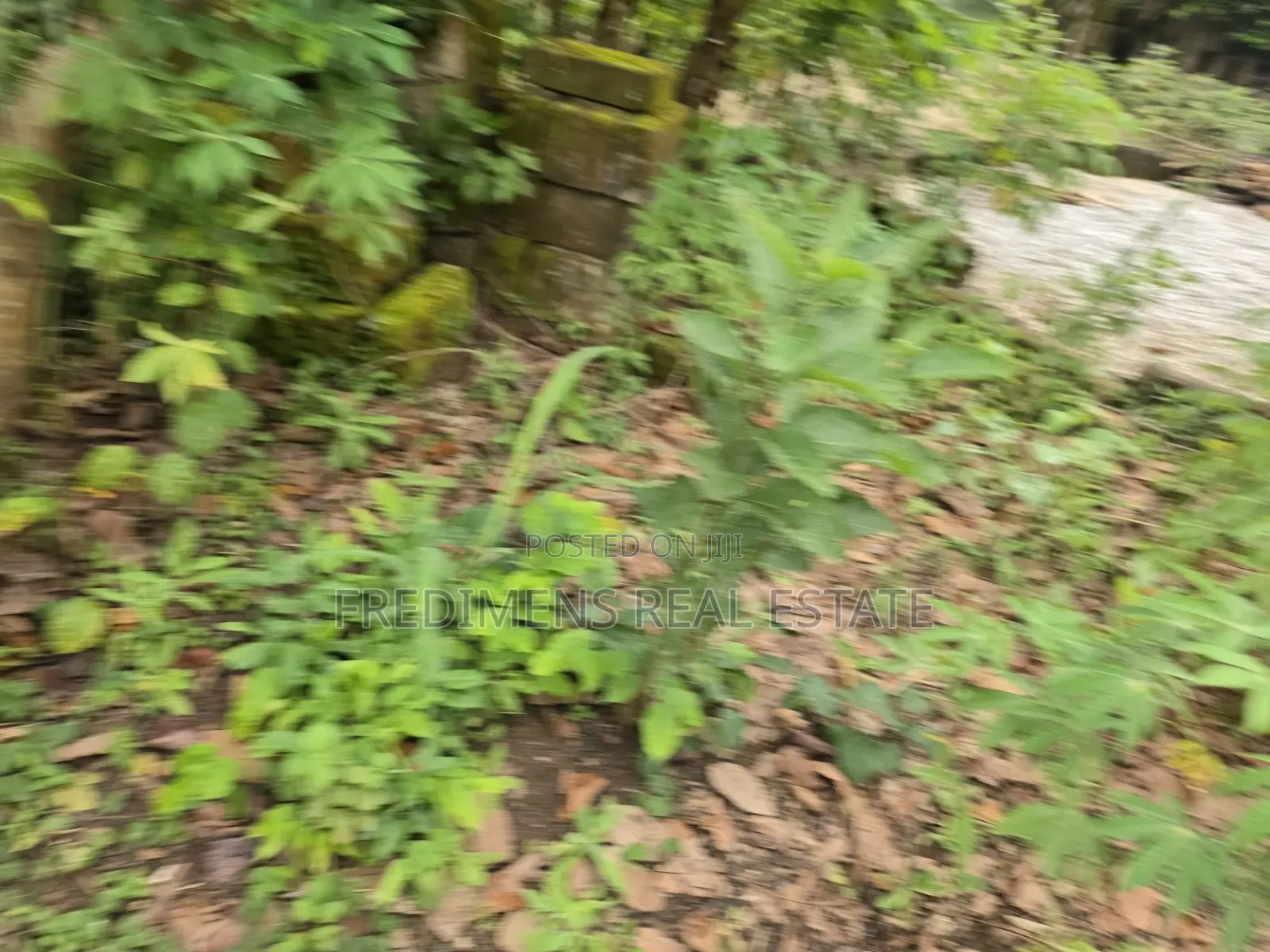 Land at Asuofia-Achiase for Sale