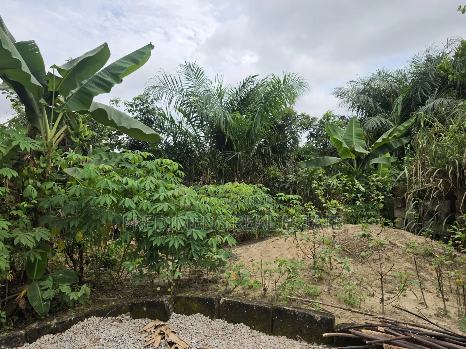 Land at Asuofia-Achiase for Sale