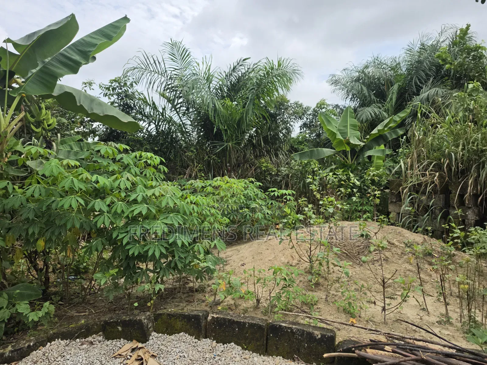Land at Asuofia-Achiase for Sale