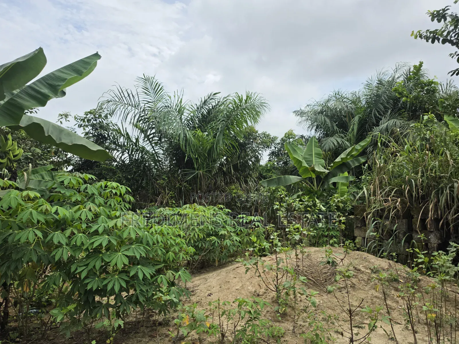Land at Asuofia-Achiase for Sale