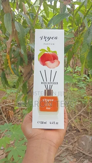 Reed Diffusers and Aer Power Pockets