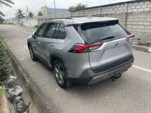 Toyota RAV4 XLE AWD 2019 Silver