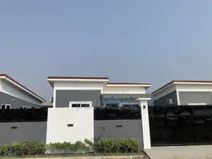 Professional Painting