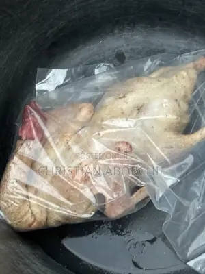 Dressed Duck for Sale
